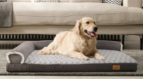 Bingopaw jumbo foam dog - bingopaw, bed